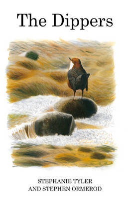 Dippers -  Stephanie Tyler