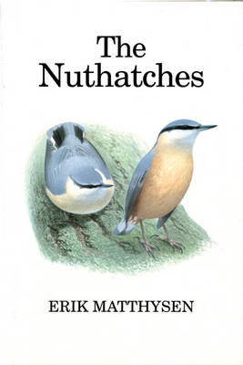 Nuthatches -  Erik Matthysen