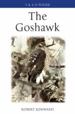 Goshawk