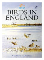 Birds in England -  Andy Brown,  Phil Grice