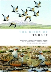 Birds of Turkey -  Barbaros Demirci,  Guy Kirwan,  Hilary Welch,  Kerem Boyla,  Metehan  zen,  Peter Castell,  Tim Marlow