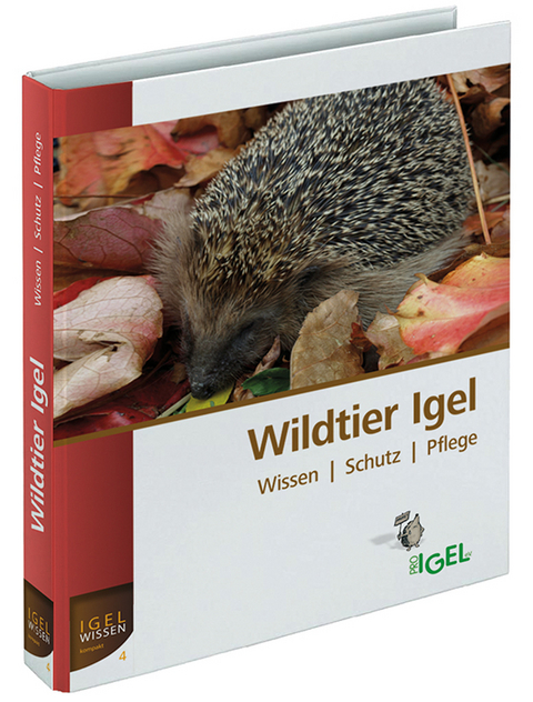 Wildtier Igel
