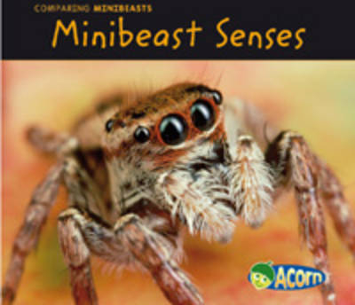 Minibeast Senses -  Charlotte Guillain