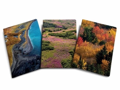 Refuge Sewn Notebook Collection -  Insight Editions