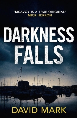 Darkness Falls - David Mark