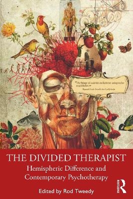 The Divided Therapist - 