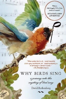 Why Birds Sing - David Rothenberg