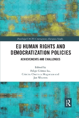 EU Human Rights and Democratization Policies