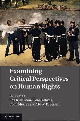 Examining Critical Perspectives on Human Rights - 