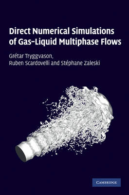 Direct Numerical Simulations of Gas-Liquid Multiphase Flows