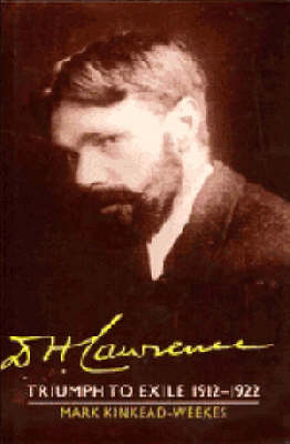 D. H. Lawrence: Triumph to Exile 1912-1922: Volume 2 -  Mark Kinkead-Weekes