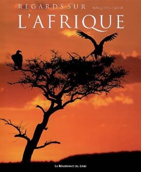 Regards sur l'Afrique - Eddy van Gestel