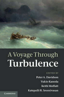 Voyage Through Turbulence