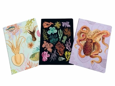 Art of Nature: Under the Sea Sewn Notebook Collection -  Insight Editions