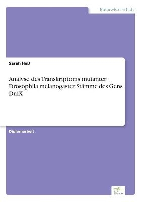 Analyse des Transkriptoms mutanter Drosophila melanogaster StÃ¤mme des Gens DmX