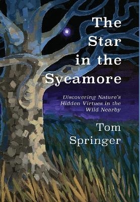 The Star in the Sycamore - Tom Springer