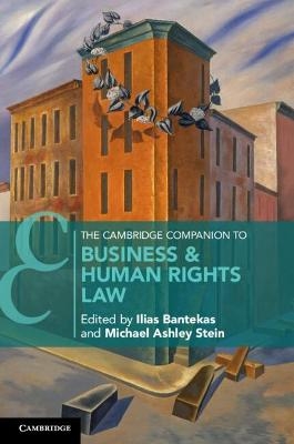The Cambridge Companion to Business and Human Rights Law - 