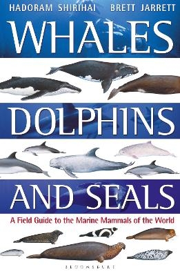 Whales, Dolphins and Seals - Hadoram Shirihai, Brett Jarrett