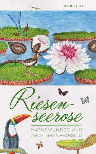 Riesenseerose
