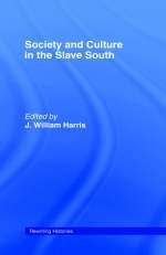 Society and Culture in the Slave South
