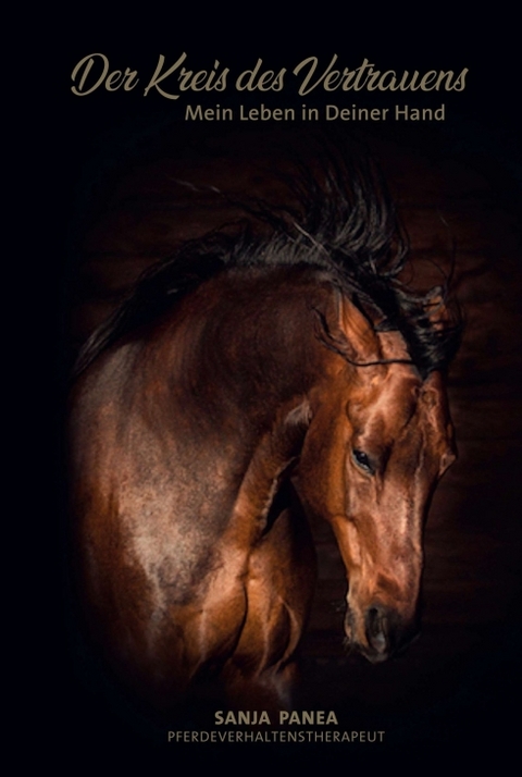 Der Kreis des Vertrauens - Sanja Panea
