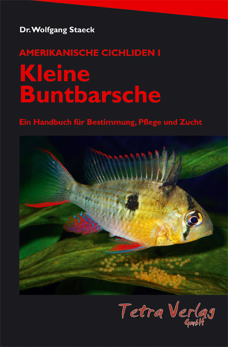 Kleine Buntbarsche - Wolfgang Staeck