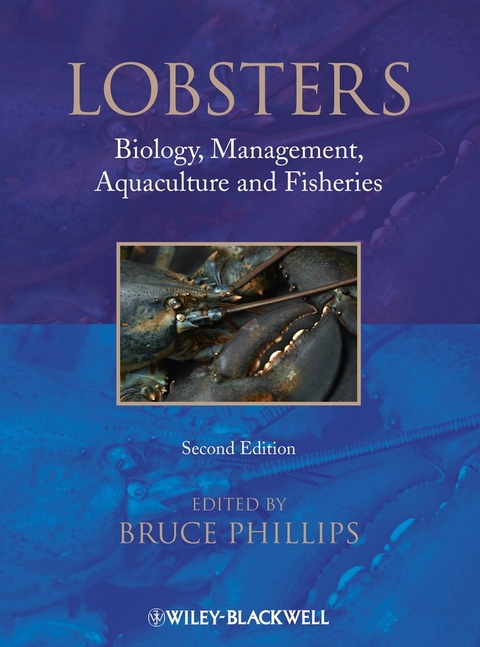 Lobsters - Bruce Phillips