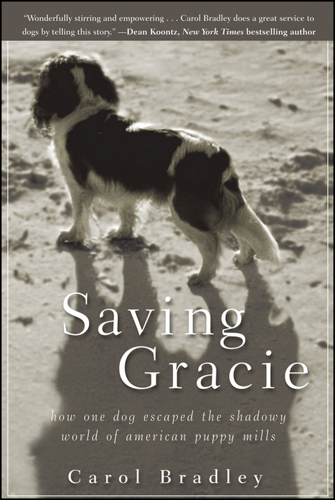 Saving Gracie - Carol Bradley