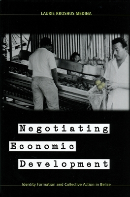 Negotiating Economic Development - Laurie Kroshus Medina