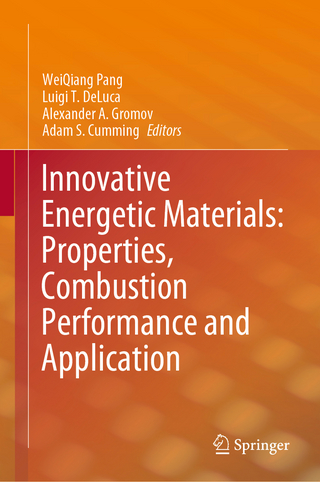 Innovative Energetic Materials: Properties, Combustion Performance and Application