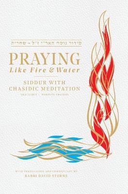 Praying like Fire and Water - Rabbi David H Sterne
