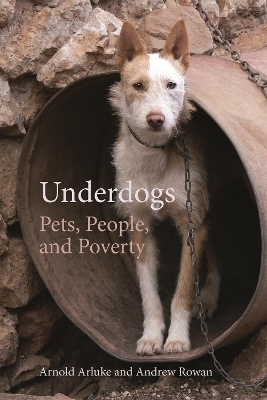 Underdogs - Arnold Arluke, Andrew Rowan