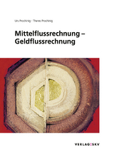 Mittelflussrechnung – Geldflussrechnung, Bundle - Prochinig, Urs; Prochinig, Theres