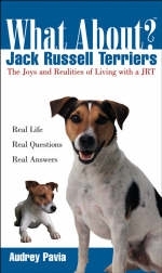 What About Jack Russell Terriers -  Audrey Pavia