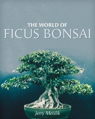 The World of Ficus Bonsai