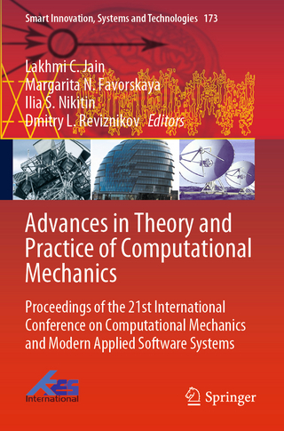 Advances in Theory and Practice of Computational Mechanics