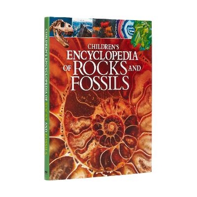 Children's Encyclopedia of Rocks and Fossils - Claudia Martin