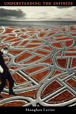 Understanding the Infinite