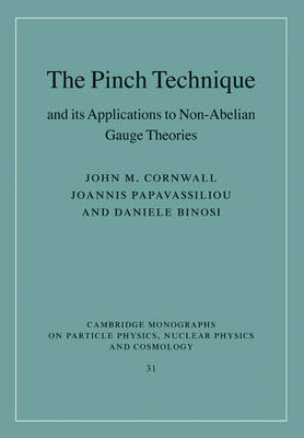 Pinch Technique and its Applications to Non-Abelian Gauge Theories