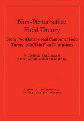 Non-Perturbative Field Theory -  Yitzhak Frishman,  Jacob Sonnenschein