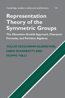 Representation Theory of the Symmetric Groups -  Tullio Ceccherini-Silberstein,  Fabio Scarabotti,  Filippo Tolli