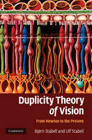 Duplicity Theory of Vision