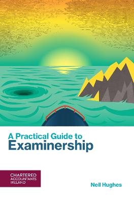 A Practical Guide to Examinership