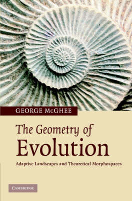 Geometry of Evolution