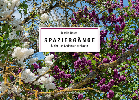Spazierg&auml;nge - Tassilo Bonzel