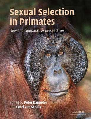 Sexual Selection in Primates