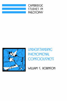 Understanding Phenomenal Consciousness