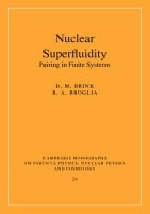 Nuclear Superfluidity -  David M. Brink,  Ricardo A. Broglia