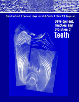 Development, Function and Evolution of Teeth