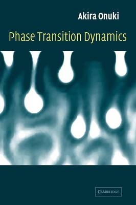 Phase Transition Dynamics